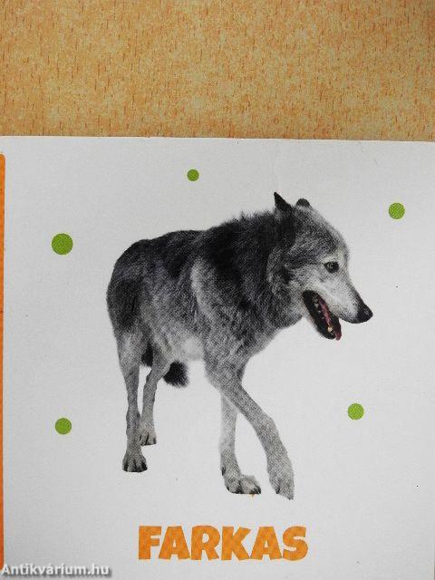 Mi ez? - Erdei állatok