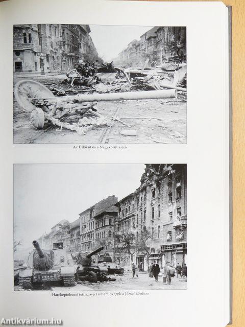 1956 hadikrónikája