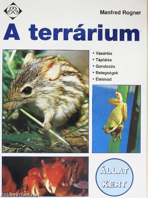 A terrárium
