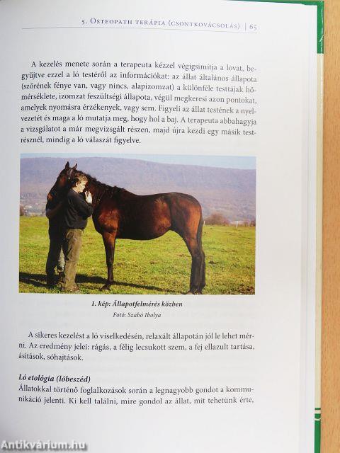 Lócsontkovácsolás