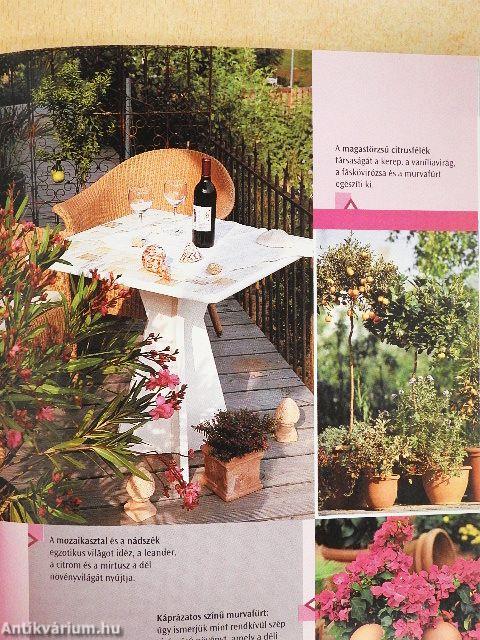 Színes dézsakertek