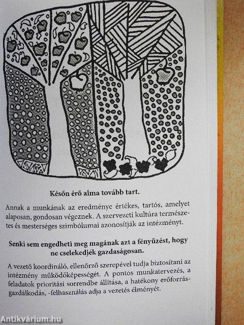 Mindennapi vezetéselmélet