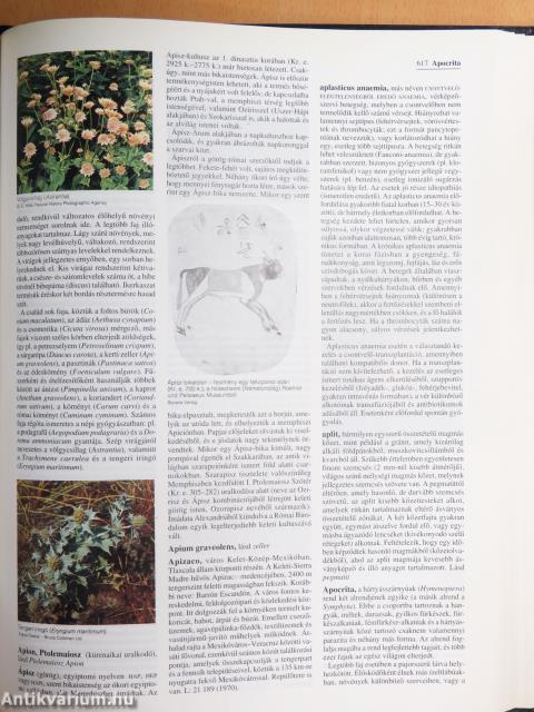 Britannica Hungarica Világenciklopédia 1-18. (nem teljes sorozat)