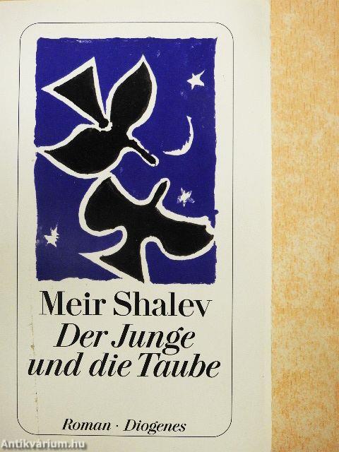 Der Junge und die Taube