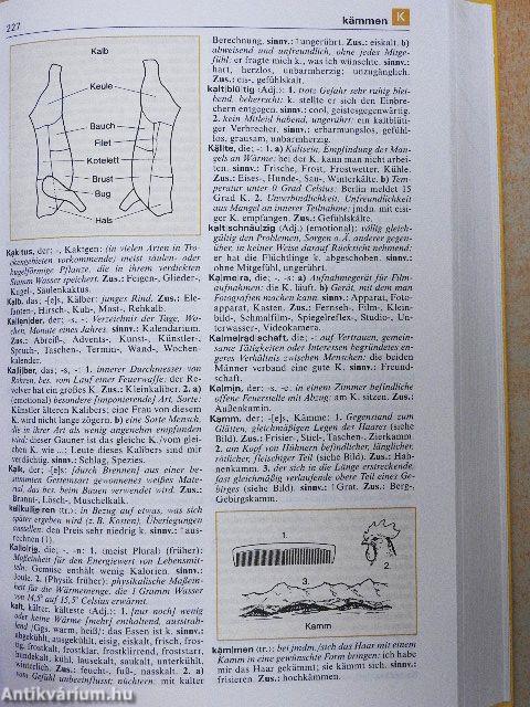 Schüler Duden - Bedeutungswörterbuch