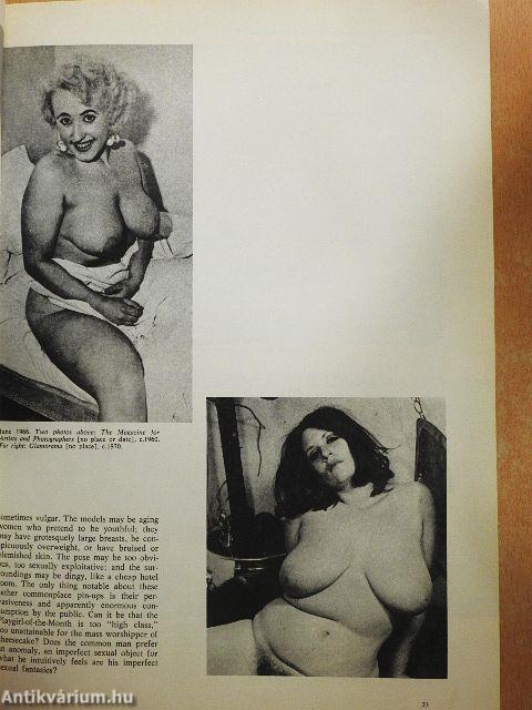 The Pin-Up a Modest History