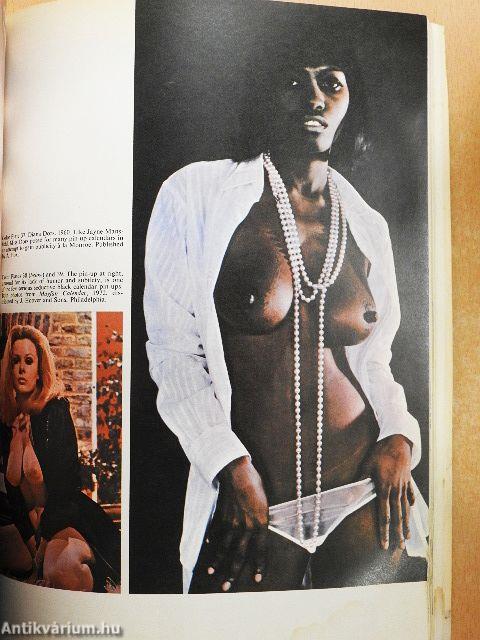 The Pin-Up a Modest History