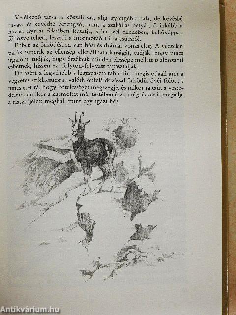 Erdők, rétek, nádasok