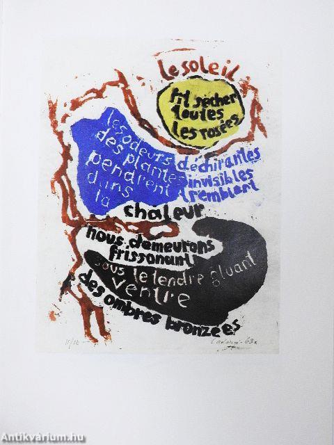 Cantio Nocturna Peregrini Aviumque