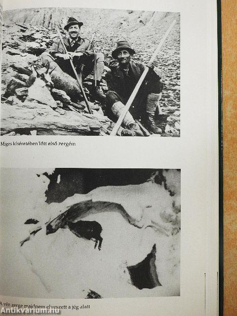 Cserkelés az Életem