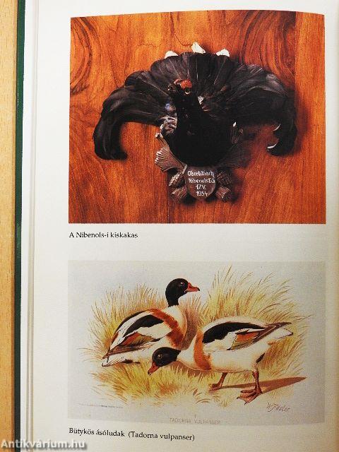 Cserkelés az Életem