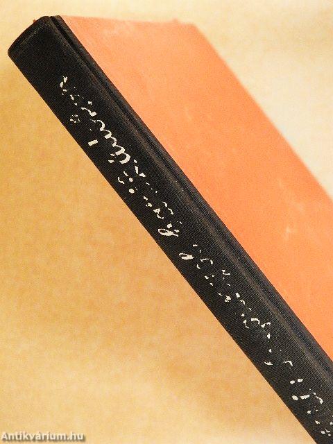 A spanyol barikádokon