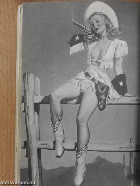 The Pin-Up a Modest History