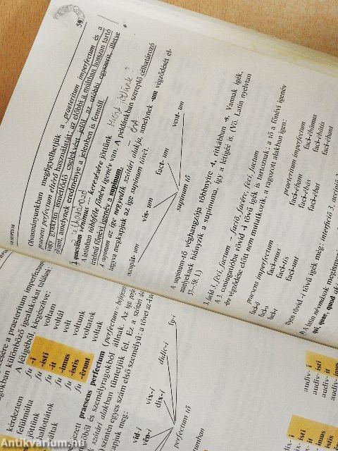 Latin nyelvkönyv I.