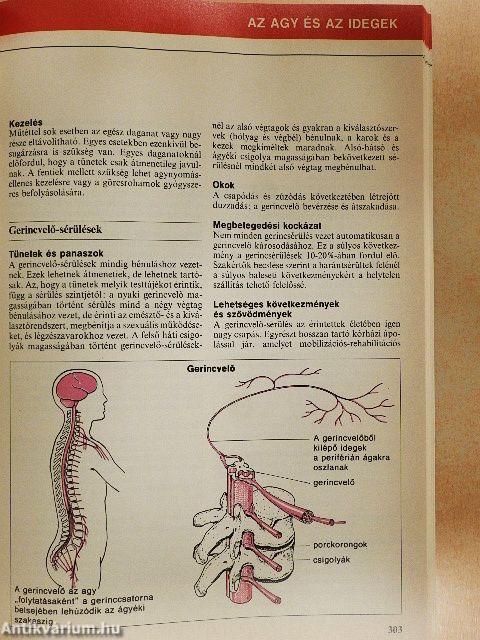 Nagy egészségkönyv