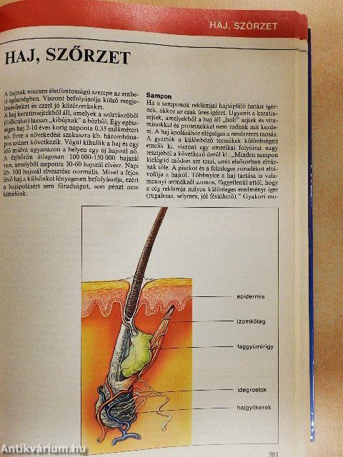 Nagy egészségkönyv