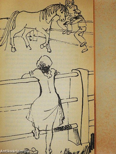 Nem akarom, hogy megnősülj