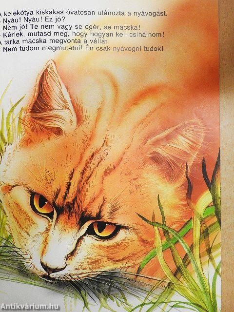 A kelekótya kiskakas