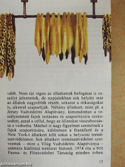 Állatkerti emlősök 1.