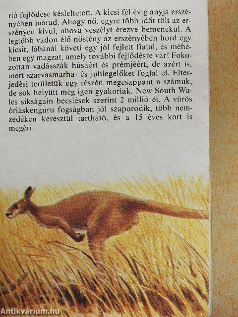 Állatkerti emlősök 1.