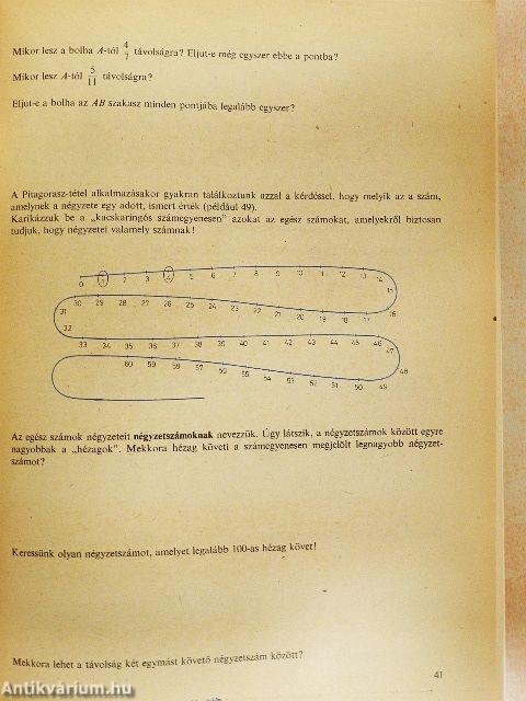 Matematika munkatankönyv II.