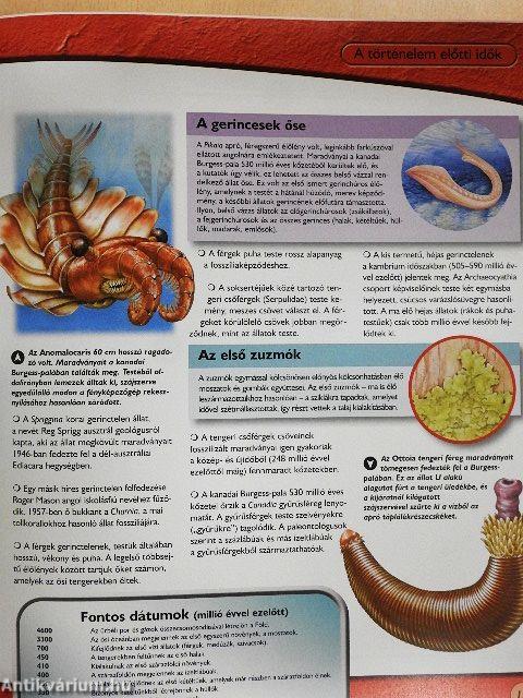 Bolygónk élővilága