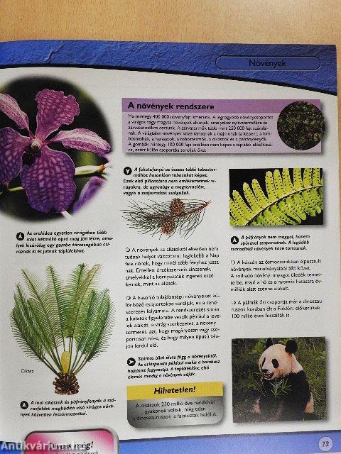 Bolygónk élővilága