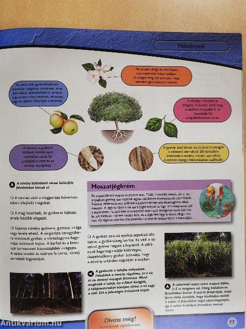 Bolygónk élővilága