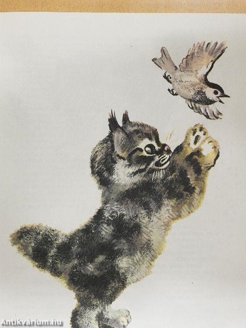 Csintalan állatkölykök