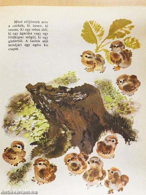 Csintalan állatkölykök