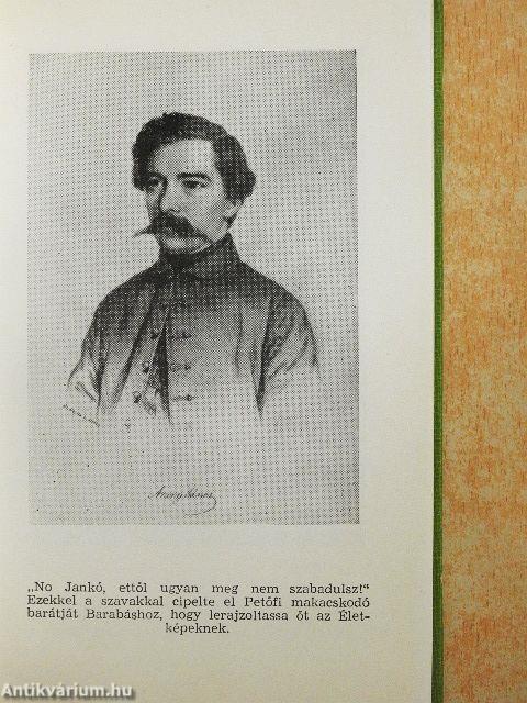 Arany és Petőfi levelezése