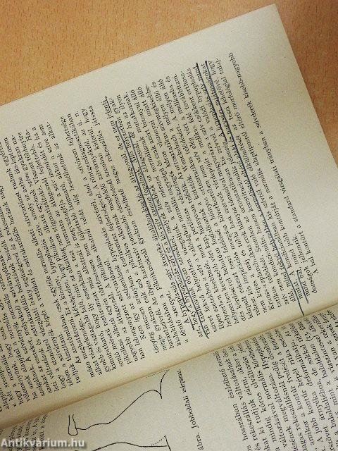 Tanulmányok a szívárnyékról