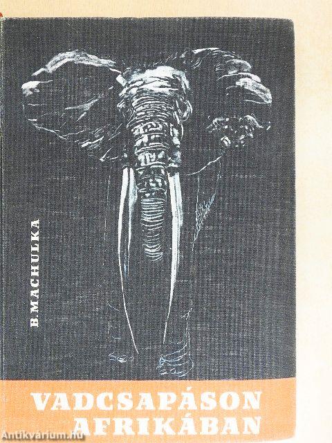 Vadcsapáson Afrikában