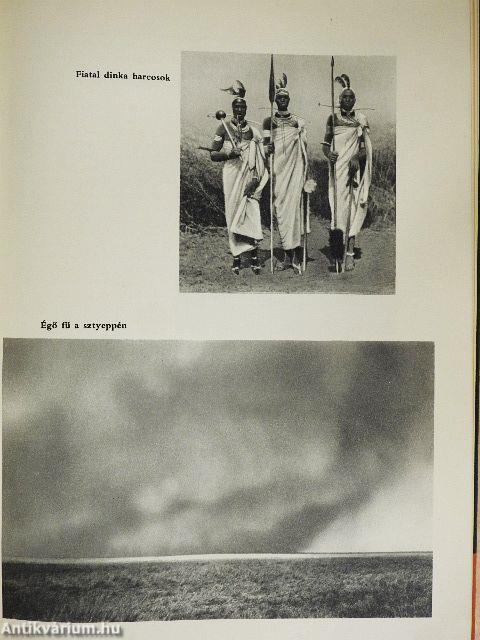 Vadcsapáson Afrikában