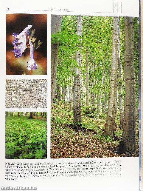 Természeti szépségeink