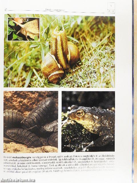 Természeti szépségeink