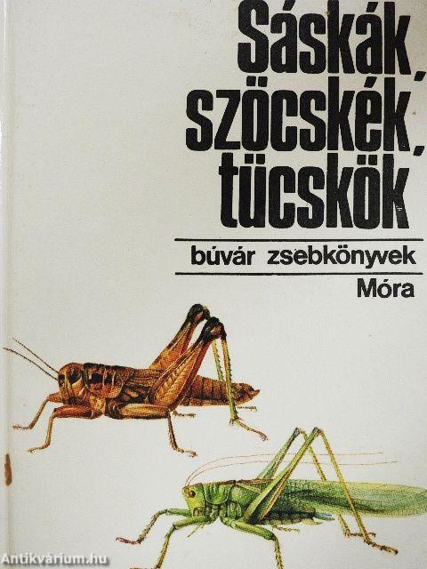 Sáskák, szöcskék, tücskök