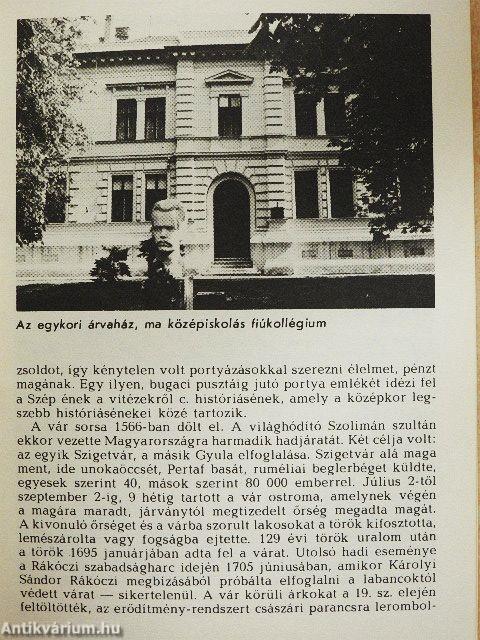 Gyula - Műemlékek