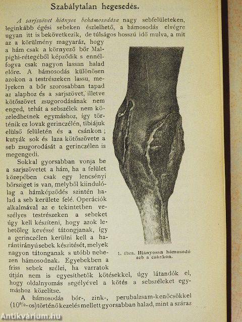 Általános sebészet