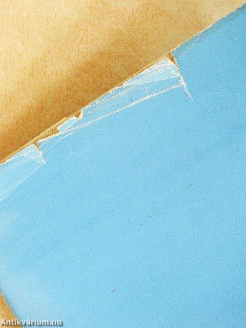 A magyar beszédhangok atlasza