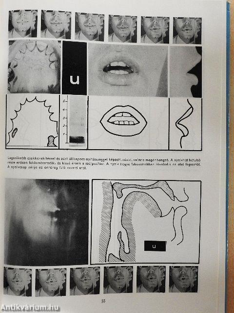 A magyar beszédhangok atlasza