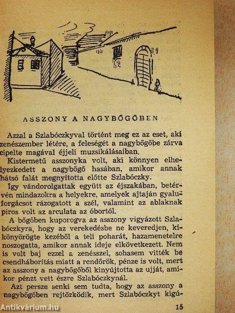 Asszony a nagybőgőben