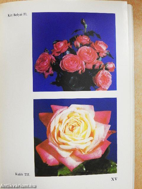 Rózsák zsebkönyve