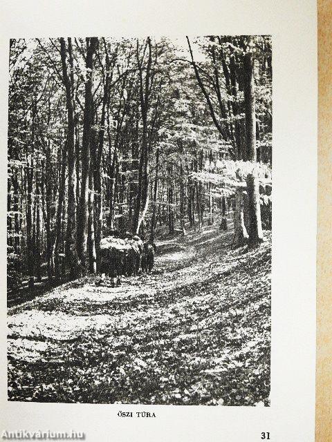 Budapest-Börzsöny-Cserhát