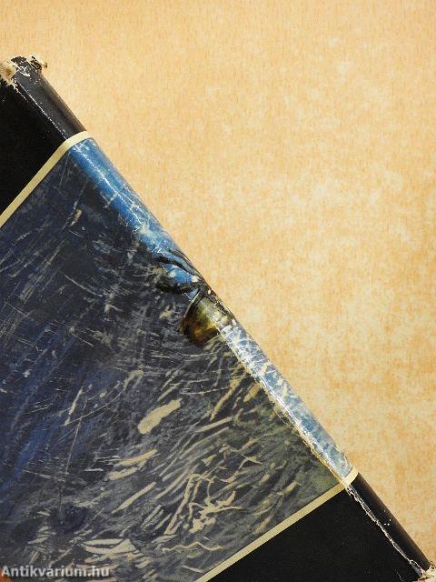 Rénszarvasok nyomában