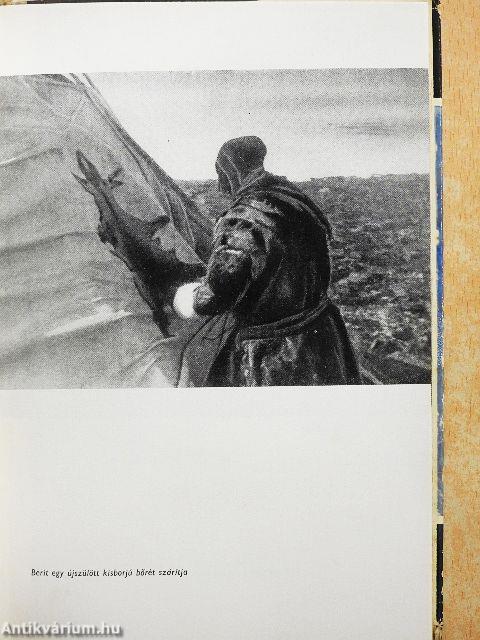 Rénszarvasok nyomában