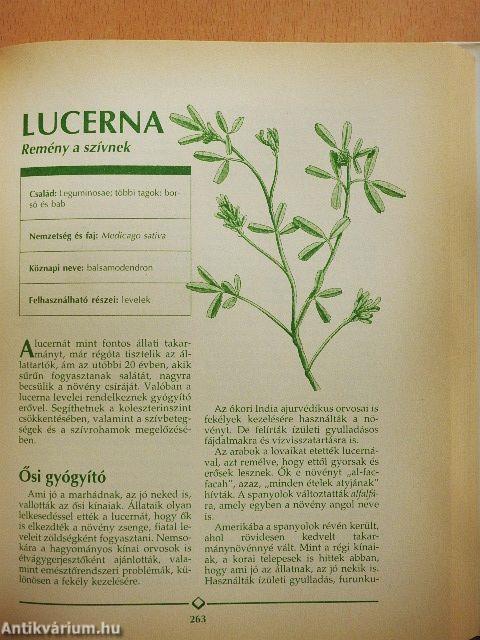 Gyógynövény enciklopédia