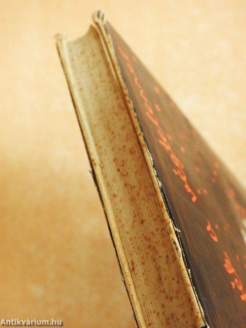 Játék a végtelennel