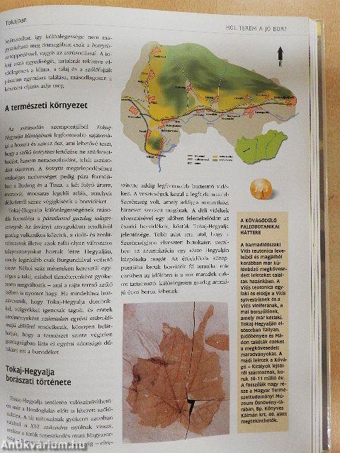 Magyar borok könyve