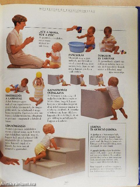 Kismamák nagykönyve